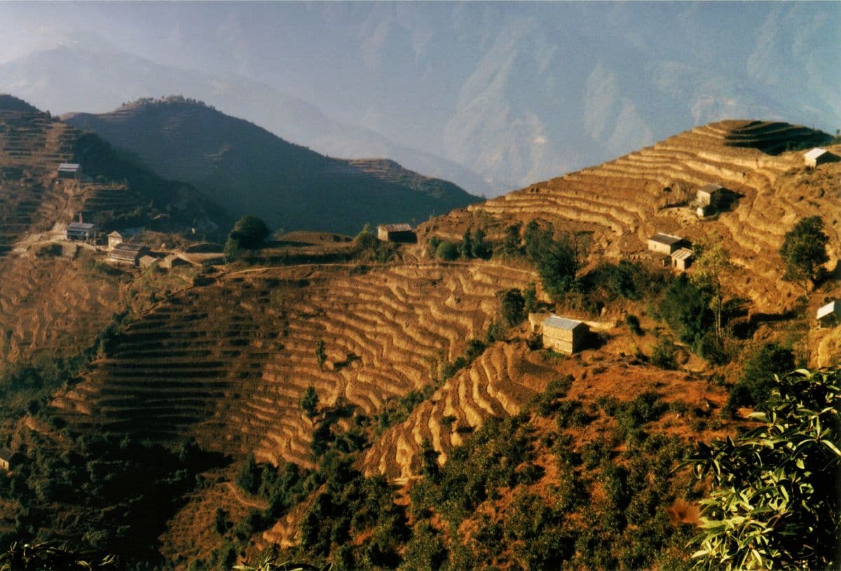Himalayan Foothills