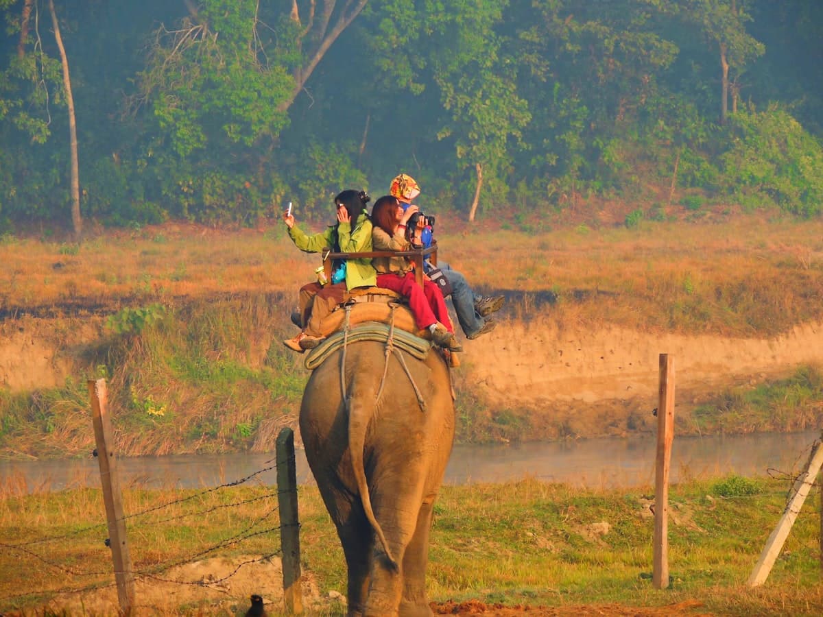 Chitwan National Park